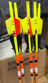 Image result for ArcheryDuns