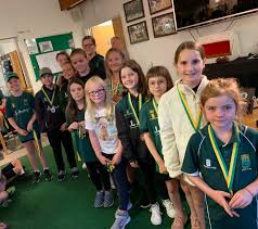 Image result for Cornwood Cricket Club