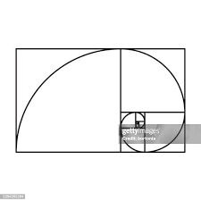 Image result for numero aureo