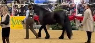 Image result for Lakes Riding Club