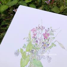 「望月麻里（マリ）」の画像検索結果