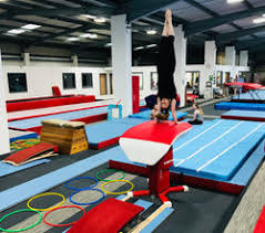 Image result for Wolverhampton Gymnastics Club