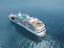 Attēlu rezultāti vaicājumam “Aranei exuvia”