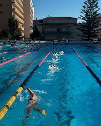 Image result for Rykneld Sharley Park Swimming Club
