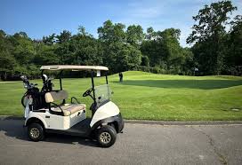 Image result for Pelham Korfball Club