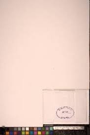 Attēlu rezultāti vaicājumam “Orthotrichum, Nyholmiella”