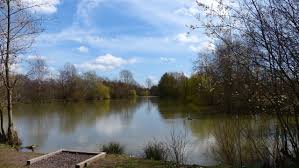 Image result for Seabrook Sea Anglers Association