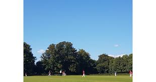 Image result for Shere Cricket Club