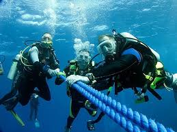 Image result for Torbay Sub-Aqua Club