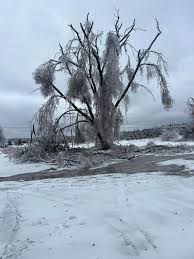 Image result for ice storm