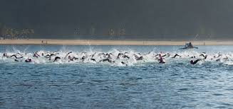 Image result for Cornish Swim Academy