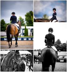 Image result for South Weylands Equestrian