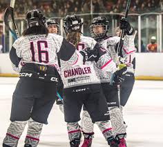 Image result for Haringey Greyhounds Ice Hockey Club