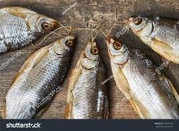 Image result for Rutilus caspicus