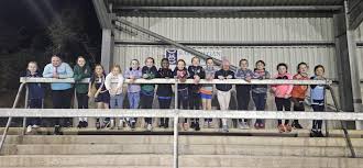 Image result for Ballyhegan Davitts Gaa Club