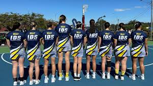 Image result for Hornets Netball Club