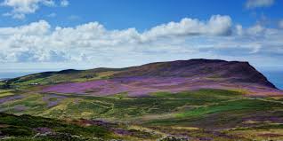 Image result for Isle Of Man