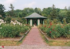 Image result for Thorn Park L T C