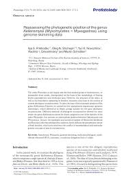 Attēlu rezultāti vaicājumam “Badhamiopsis ainoae sessile”