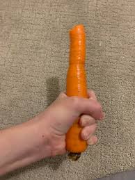 Attēlu rezultāti vaicājumam “Daucus sativus”