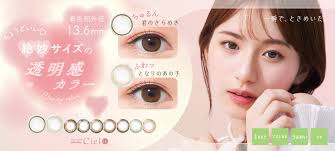 「ネオサイトワンデーシエル」の画像検索結果