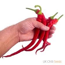 Afbeeldingsresultaat voor turkish cayenne hot pepper