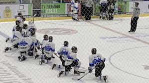 Image result for Sheffield Wildcats Rink Hockey and Roller Skating Club