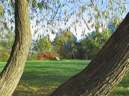 Image result for Hazel Grove