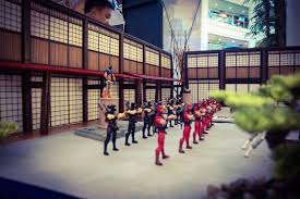 Image result for Hale Barns Dojo