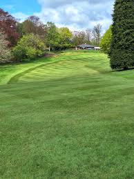 Image result for Dorking Golf Club
