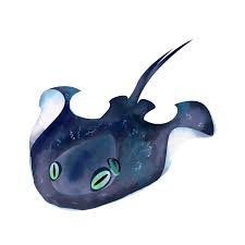 Image result for Bathytoshia brevicaudata