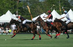 Image result for Inglesham Polo Centre