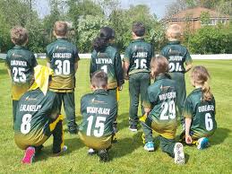 Image result for Spring View Community Sports Association