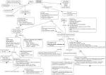 nephrotic syndrome