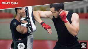 Image result for Full Element Mixed Martial Arts
