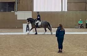 Image result for North Lammermuir Riding Club