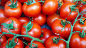 Image result for Tomate