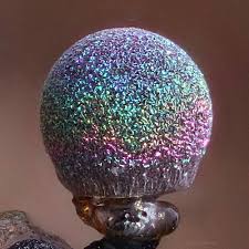 Attēlu rezultāti vaicājumam “Lamproderma echinosporum macro”