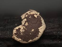 Attēlu rezultāti vaicājumam “Stemonitopsis hyperopta var. landewaldii young”