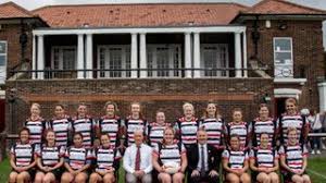 Image result for Novocastrians Rugby Football Club