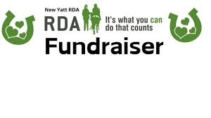 Image result for Riding For The Disabled