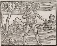 Image result for "Scyphus Nestoris"