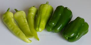 Afbeeldingsresultaat voor aconcagua sweet pepper