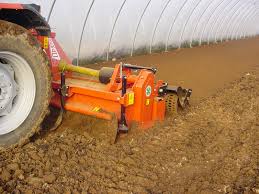 Image result for grazioli tehron