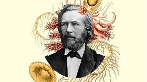 Image result for ernst haeckel