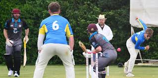 Image result for North Petherton Cricket Club