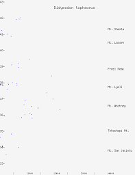 Attēlu rezultāti vaicājumam “Didymodon tophaceus”