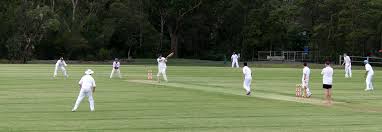 Image result for Malvern Cricket Club