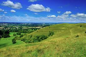 Image result for North Dorset