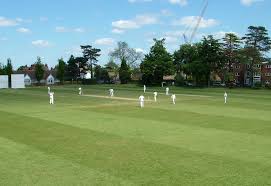 Image result for Letchworth Cricket Club